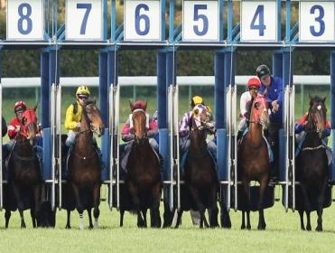 http://betting.betfair.com/horse-racing/Aus%20stalls.jpg